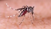 একদিনে ডেঙ্গুতে ৬ জনের মৃত্যু
