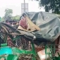 গাজীপুরে ডাম্পট্রাক চাপায় অটোরিকশার ৩ যাত্রী নিহত
