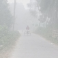 চুয়াডাঙ্গায় তাপমাত্রা ৯ ডিগ্রি: ঘন কুয়াশায় জনজীবন বিপর্যস্ত