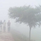 ৪৪ জেলায় শৈত্যপ্রবাহ অব্যাহত থাকার আভাস