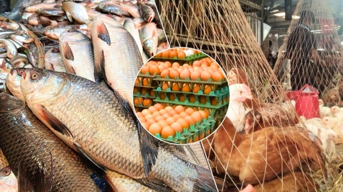 সবজিতে স্বস্তি ফিরলেও মাছের বাজার চড়া