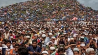 এক বছরে রোহিঙ্গা শরণার্থী বাড়ল ১ লাখ ৭৯ হাজার