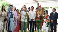 নবাগত শিশুকে স্বাগত জানিয়ে গাছ লাগান: প্রধানমন্ত্রী