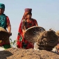 নারী ও শিশু উন্নয়ন খাতে বরাদ্দ ৫,১৯৬ কোটি টাকা