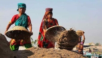 নারী ও শিশু উন্নয়ন খাতে বরাদ্দ ৫,১৯৬ কোটি টাকা