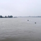 সুনামগঞ্জে পাহাড়ি ঢলে বাড়ছে নদ নদীর পানি