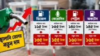 লিটারপ্রতি জ্বালানি তেলের দাম বাড়াল ২০ টাকা
